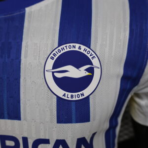 Brighton Nike Mens 25/26 Home Jersey