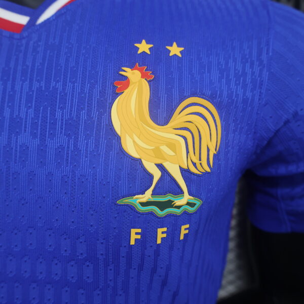 77fc037b France Nike Mens 24/25 Home Jersey