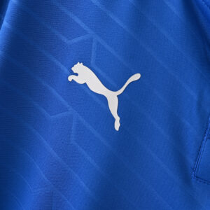 7e1f02d9 Retro Italy Puma 2012 Home Jersey